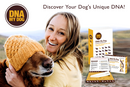 DNA MY Dog - Canine Breed Identification Test Kit (Dog DNA) for dogs - Breeds, DNA, Dog DNA, Mutt, Swab, Test