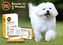 DNA MY Dog - Canine Breed Identification Test Kit (Dog DNA) for dogs - Breeds, DNA, Dog DNA, Mutt, Swab, Test
