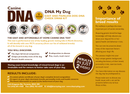 DNA MY Dog - Canine Breed Identification Test Kit (Dog DNA) for dogs - Breeds, DNA, Dog DNA, Mutt, Swab, Test