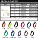 Everyday Reflective Collar
