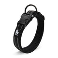 Everyday Reflective Collar