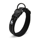Everyday Reflective Collar