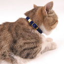 Classic Collar for Cats for dogs - Buckle, Cats, Collar