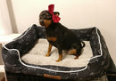 Comfy Plush Bed for dogs - Bed, Comfy, Cushion, Portable, Portable Bed, Soft, Warm