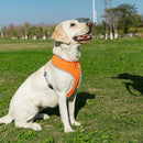 Everyday Harness - Medium Dogs (No Pull) for dogs - __label2:HappyDog's Choice, __label:Bestseller, Easy On, Harness, No-Pull, Step In, Vest