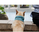 Cooling Collar for dogs - Breathable, Cold, Collar, Cooling, Ice Cold