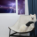 Anxiety & Calming Vest for dogs - __label2:HappyDog's Choice, __label:Bestseller, Anxiety Jacket, Jacket, Mood, psychology, Reflective, Thunder, Vest, Weighted Jacket