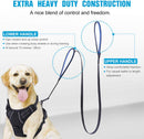 Leash with Handle for dogs - Handle, Leash