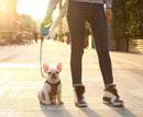 Air Lite Harness (No-Pull) for dogs - Collar, Easy On, Harness, No Pull, Step In, Vest