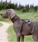 Extra Big Double Runner Harness (No-Pull)