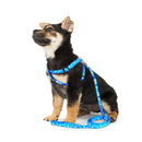 Puppy & Toy Dog Harness for dogs - Brussels Griffon, Chihuahua, Chinese Crested, Dachshund, Extra Small, Harness, Havanese, Italian Greyhound, little, Maltese, mini, Miniature Pinscher, Morkie, Papillon, Pekingese, Pomeranian, Poodle, Puppies, Puppy, Shih Tzu, Small, Spaniel, Super Small, Tea, Tea Cup, TeaCup, Tiny, Toy, Toy Dog, Vest, XS, yorkie, Yorkshire Terrier