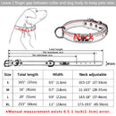 Personalized Leather Collar w/ ID Tag for dogs - Collar, Custom, Engrave, ID, Leather, Name, Number, Personal, Phone, Tag