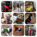 Easy-On Harness (No Pull) for dogs - Harness, Leash, Puppy, Small Dogs, Vest