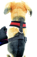 Easy-On Harness (No Pull) for dogs - Harness, Leash, Puppy, Small Dogs, Vest
