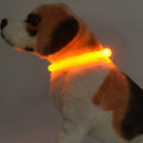 Glow in the Dark Tube Collar for dogs - Collar, LED, Neon, Rechargeable, Safety, USB