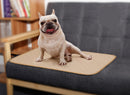 Durable & Waterproof Pee Pad for dogs - __label:Bestseller, Dog Matt, Mat, Matt, Non Slip, Pad, Pads, Pee Pad, Training, Washable, Waterproof, Whelping, Whelping Mat, Whelping Pad