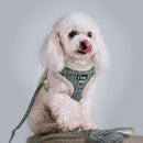 Sweater Harness (No-Pull) for dogs - Easy On, Fancy, Harness, Leash, No-Pull, Pouch, Set, Step In, Vest