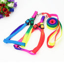 Colorful Rainbow Tie-Dye Collar Harness with Leash (No Pull) for dogs - Collar, Colours, Easy On, Harness, Leash, No Pull, Rainbow, Step In, Tie-Dye