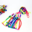 Colorful Rainbow Tie-Dye Collar Harness with Leash (No Pull) for dogs - Collar, Colours, Easy On, Harness, Leash, No Pull, Rainbow, Step In, Tie-Dye