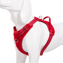 Adventure Harness (No-Pull)