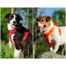 Adventure Harness (No-Pull)