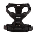 Adventure Harness (No-Pull)