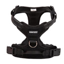 Adventure Harness (No-Pull)