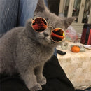Glasses for Dogs and Cats for dogs - Cats, Dogs, Eyes, Glasses, Kittens, Puppies, Spectacles, Wearable