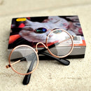 Glasses for Dogs and Cats for dogs - Cats, Dogs, Eyes, Glasses, Kittens, Puppies, Spectacles, Wearable
