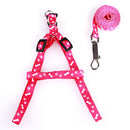 Puppy & Toy Dog Harness for dogs - Brussels Griffon, Chihuahua, Chinese Crested, Dachshund, Extra Small, Harness, Havanese, Italian Greyhound, little, Maltese, mini, Miniature Pinscher, Morkie, Papillon, Pekingese, Pomeranian, Poodle, Puppies, Puppy, Shih Tzu, Small, Spaniel, Super Small, Tea, Tea Cup, TeaCup, Tiny, Toy, Toy Dog, Vest, XS, yorkie, Yorkshire Terrier