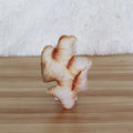 Squeaky Food Chew Toys for dogs - Chicken, Squeaky, Steak, Toy