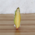 Squeaky Food Chew Toys for dogs - Chicken, Squeaky, Steak, Toy