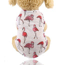 Beach T-shirts for dogs - Cute, Spring, Summer