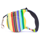 Colourful Retractable Leash for dogs - __label:Bestseller, Clours, Color, Colour, Flexi, Leash, Multi Color, Multi Colour, Retractable Dog Leash, Retractable Leash
