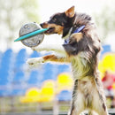 Smart Dog IQ UFO Slow Feeder for dogs - Food, IQ, Play, Puzzle, Slow Feeder, Smart, Toy, Treats, UFO