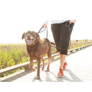Leash with Handle for dogs - Handle, Leash