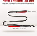 Leash with Handle for dogs - Handle, Leash