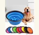 Smart Dog IQ Portable & Collapsible Slow Feeder Bowl for dogs - Bowl, Food, Portable, Slow Feeder