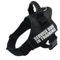 Service Dog in Training Harness (No-Pull) for dogs - __label2:HappyDog's Choice, __label:Bestseller, Custom, Easy On, Engrave, Handle, Harness, No-Pull, Personal, Reflective, Service Dog, Step In, Training, Vest