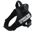 Service Dog in Training Harness (No-Pull) for dogs - __label2:HappyDog's Choice, __label:Bestseller, Custom, Easy On, Engrave, Handle, Harness, No-Pull, Personal, Reflective, Service Dog, Step In, Training, Vest