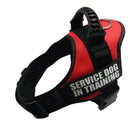 Service Dog in Training Harness (No-Pull) for dogs - __label2:HappyDog's Choice, __label:Bestseller, Custom, Easy On, Engrave, Handle, Harness, No-Pull, Personal, Reflective, Service Dog, Step In, Training, Vest