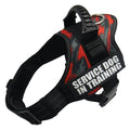 Service Dog in Training Harness (No-Pull) for dogs - __label2:HappyDog's Choice, __label:Bestseller, Custom, Easy On, Engrave, Handle, Harness, No-Pull, Personal, Reflective, Service Dog, Step In, Training, Vest