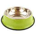 Colourful Stainless Steel Bowl for dogs - __label:Bestseller, Bowl, Stainless, Steel