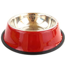 Colourful Stainless Steel Bowl for dogs - __label:Bestseller, Bowl, Stainless, Steel