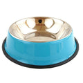 Colourful Stainless Steel Bowl for dogs - __label:Bestseller, Bowl, Stainless, Steel