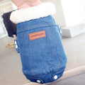 Denim Jacket for dogs - Denim, Fall, Jacket, Jean Jacket, Spring