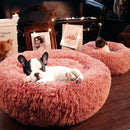 Soft Circle Bed for dogs - __label:Bestseller, Bed, Bed for Dogs, Comfy, Cushion, Dog Bed, Donut, Portable, Portable Bed, Warm