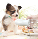 Compact Portable Water Bottle for dogs - __label2:HappyDog's Choice, __label:Bestseller, Dispenser, Travel, Water Bottle