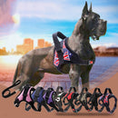Durable Harness (No Pull) for dogs - Easy On, Harness, No Pull, Reflective, Step In