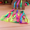 Colorful Rainbow Tie-Dye Collar Harness with Leash (No Pull) for dogs - Collar, Colours, Easy On, Harness, Leash, No Pull, Rainbow, Step In, Tie-Dye